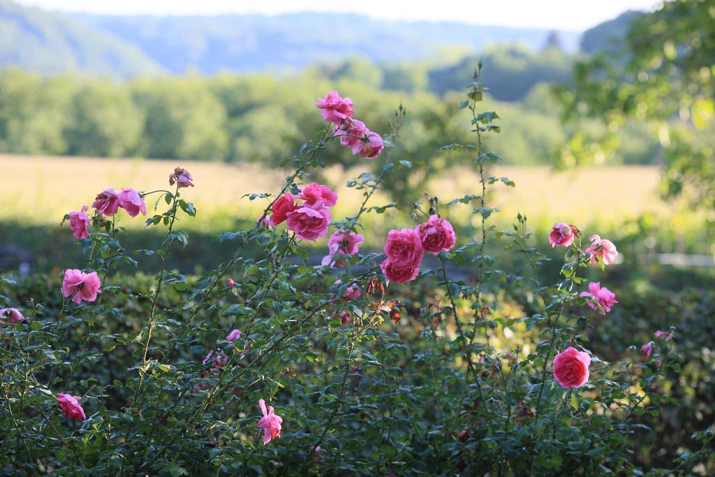 La Ferme Fleurie 호텔 라로크가지악 외부 사진